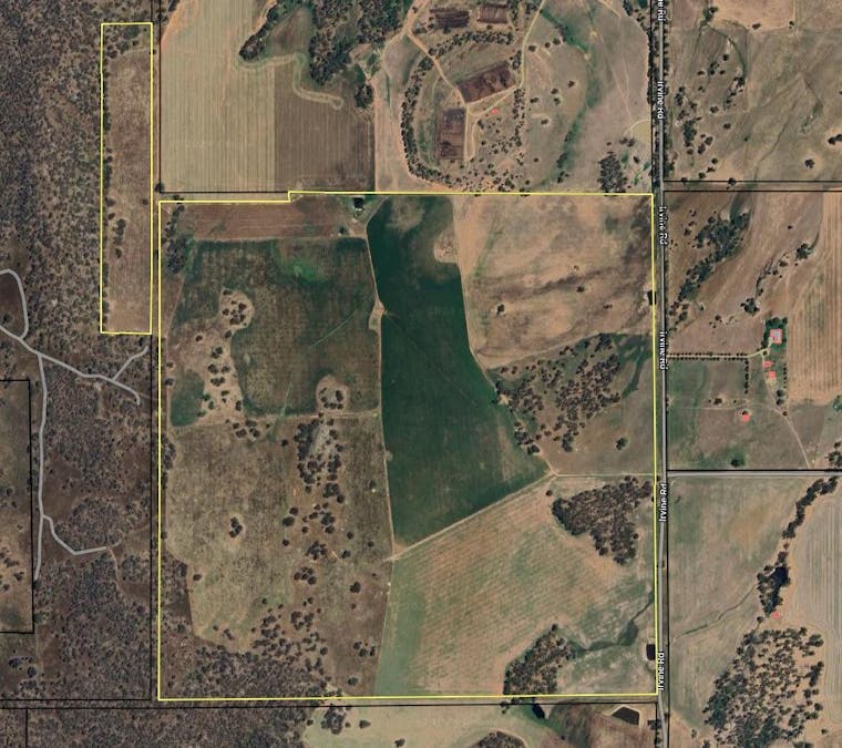 600 Irvine Road, Thoona, VIC, 3726 - Image 11