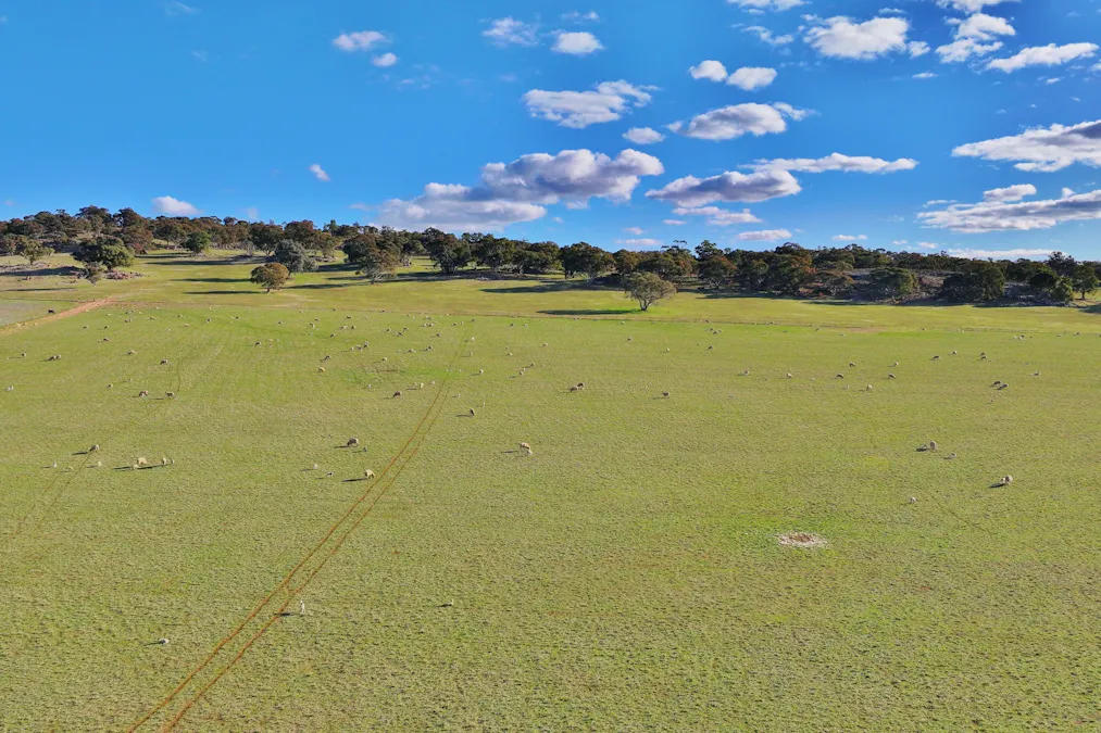 600 Irvine Road, Thoona, VIC, 3726 - Image 3