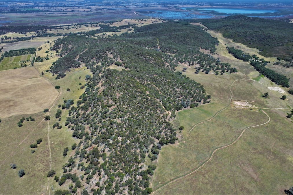 685 Irvine Road, Thoona, VIC, 3726 - Image 2