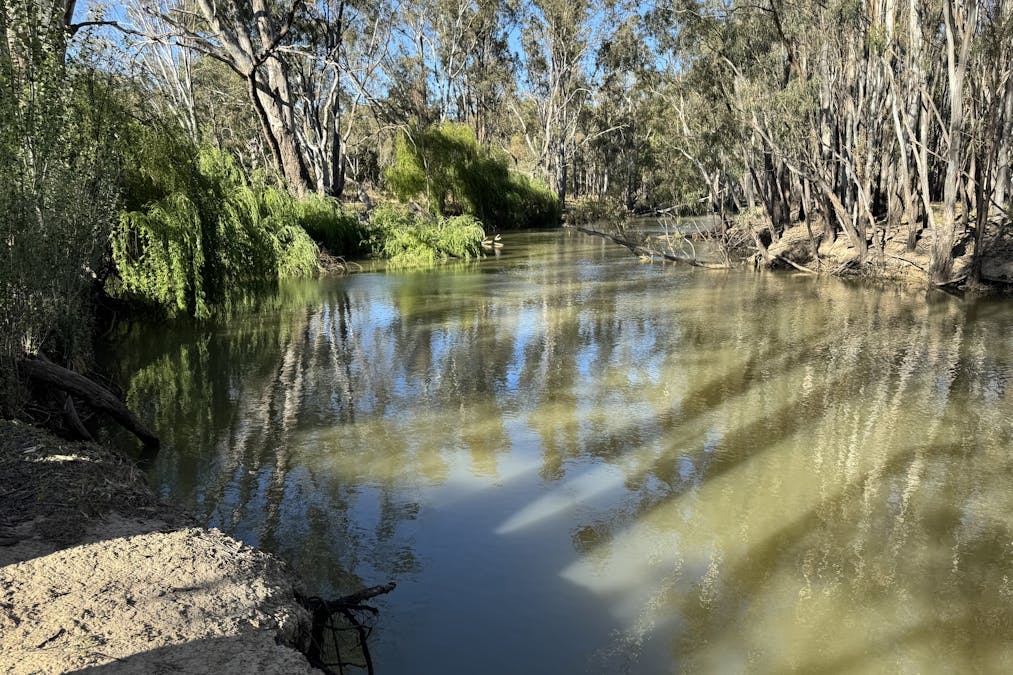 119 Stevens Weir Road, Deniliquin, NSW, 2710 - Image 26