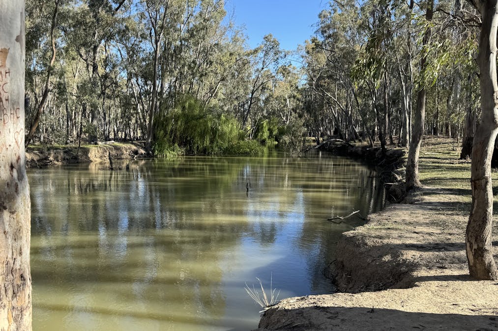 119 Stevens Weir Road, Deniliquin, NSW, 2710 - Image 27