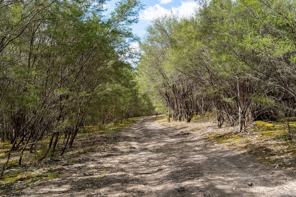 368 Rubicon Road, Rubicon, VIC, 3712 - Image 10