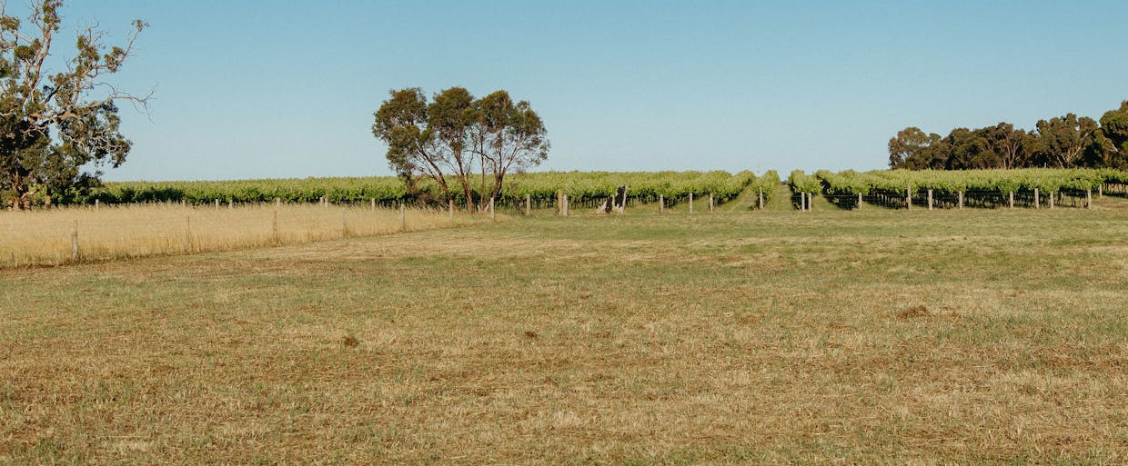 293 Gilbert Siding Road, Finniss, SA, 5255 - Image 23