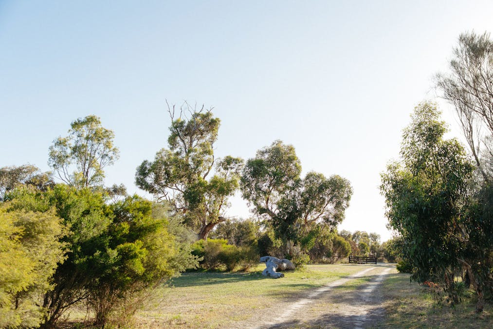 293 Gilbert Siding Road, Finniss, SA, 5255 - Image 25