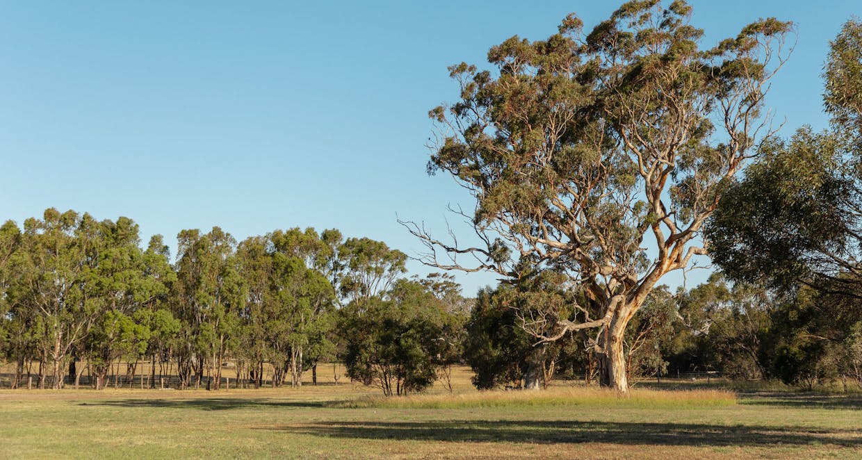 293 Gilbert Siding Road, Finniss, SA, 5255 - Image 27