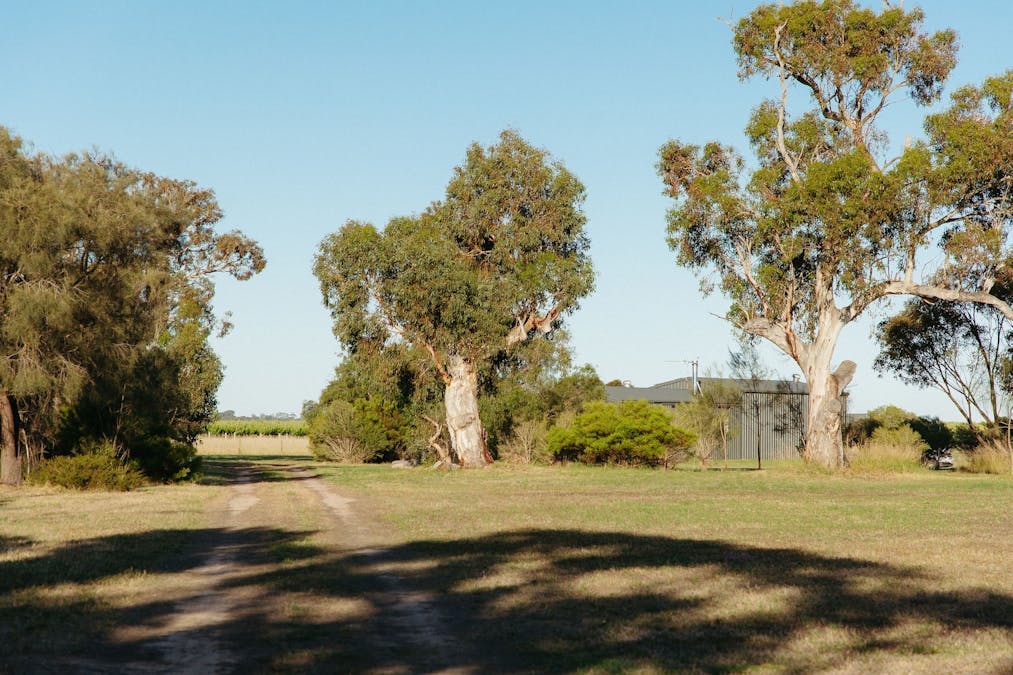 293 Gilbert Siding Road, Finniss, SA, 5255 - Image 28