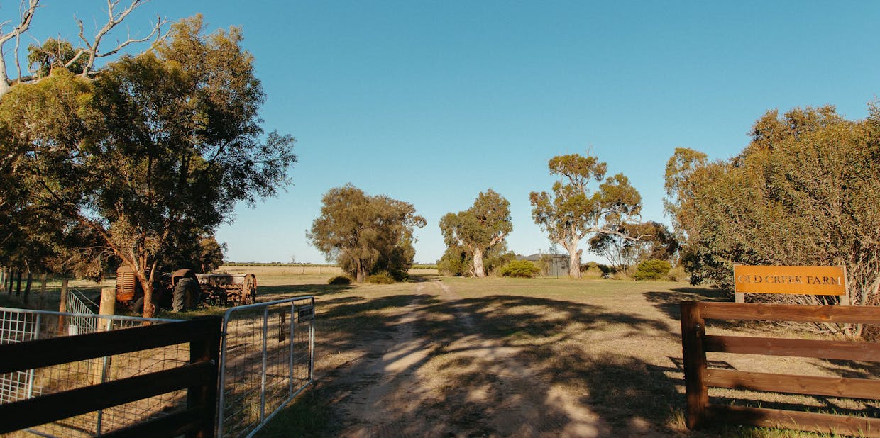 293 Gilbert Siding Road, Finniss, SA, 5255 - Image 34