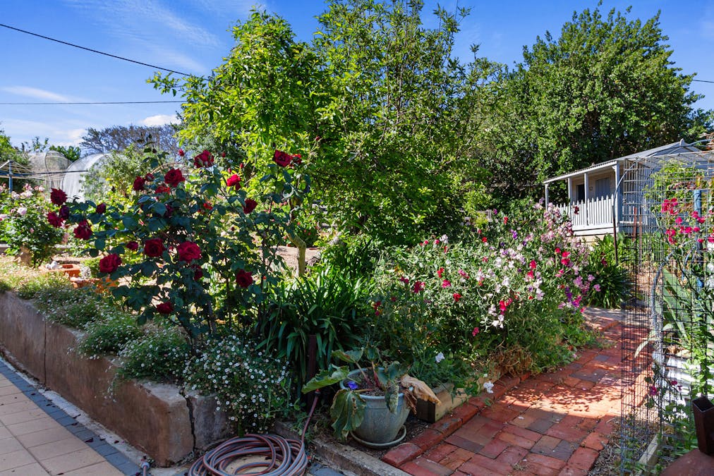 11 Harriett Street, Clare, SA, 5453 - Image 27