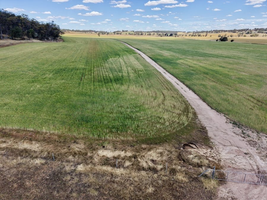 90 Hobbs Road, Dale, WA, 6304 - Image 9