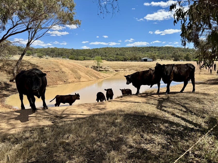 90 Hobbs Road, Dale, WA, 6304 - Image 23