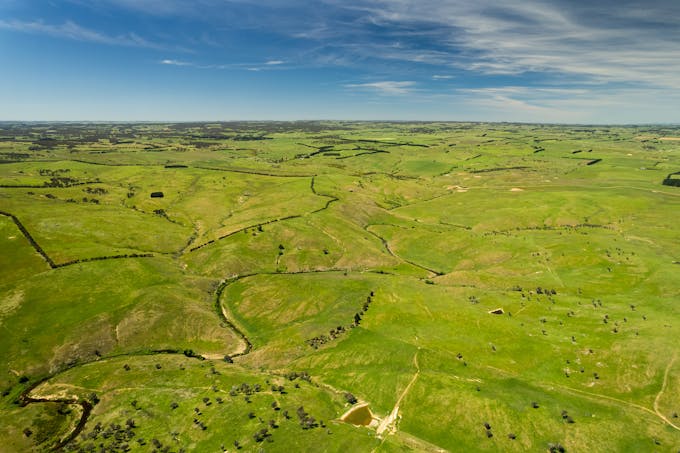 Golspie Road, Golspie, NSW, 2580 - Image 1