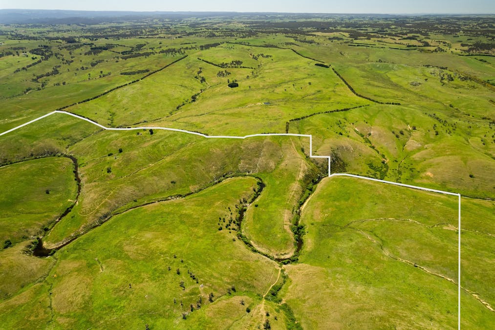 Golspie Road, Golspie, NSW, 2580 - Image 8