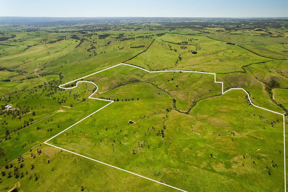 Golspie Road, Golspie, NSW, 2580 - Image 1