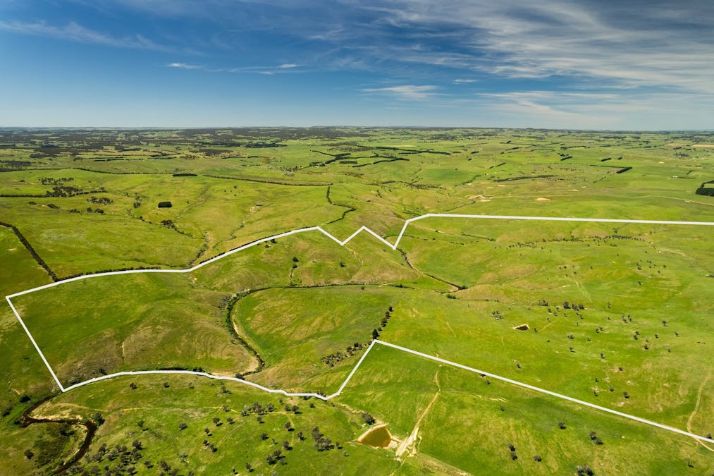 Golspie Road, Golspie, NSW, 2580 - Image 4