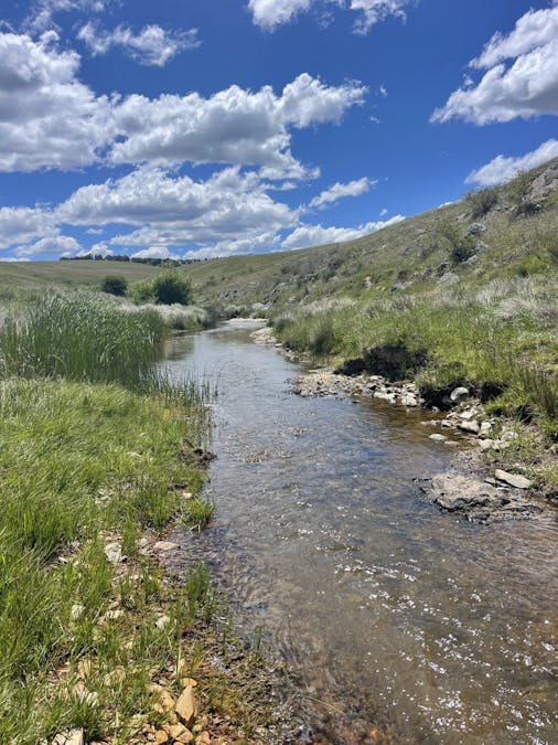 Golspie Road, Golspie, NSW, 2580 - Image 14