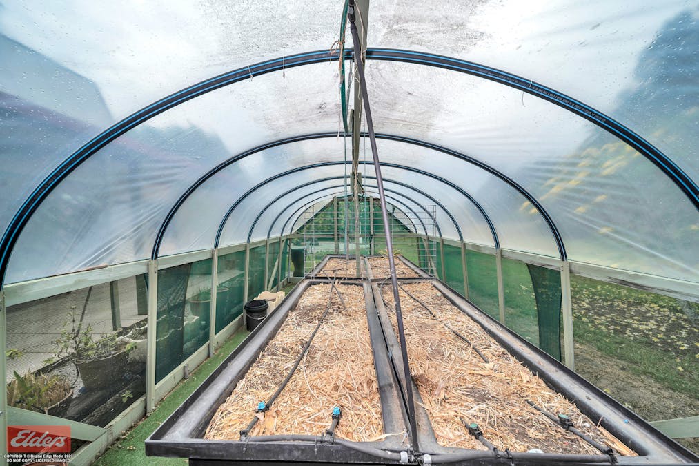 62 Vipiana Drive, Tully Heads, QLD, 4854 - Image 20