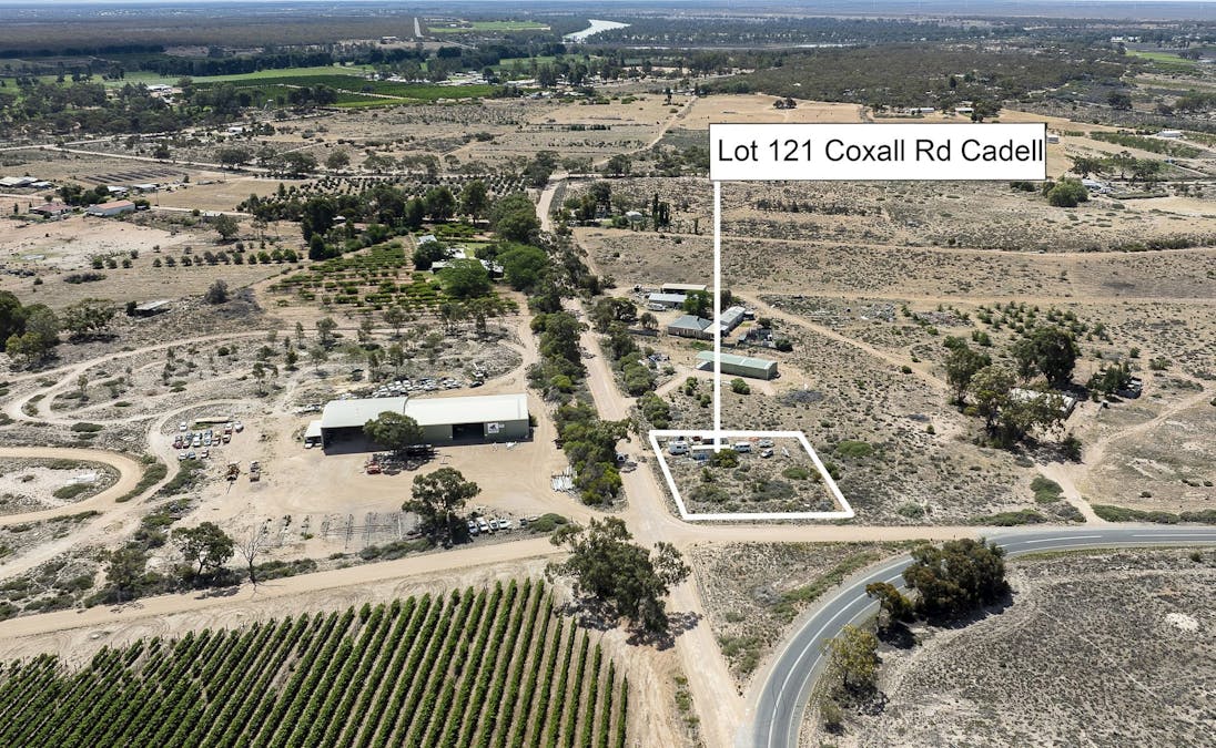 121 Coxall Road, Cadell, SA, 5321 - Image 3