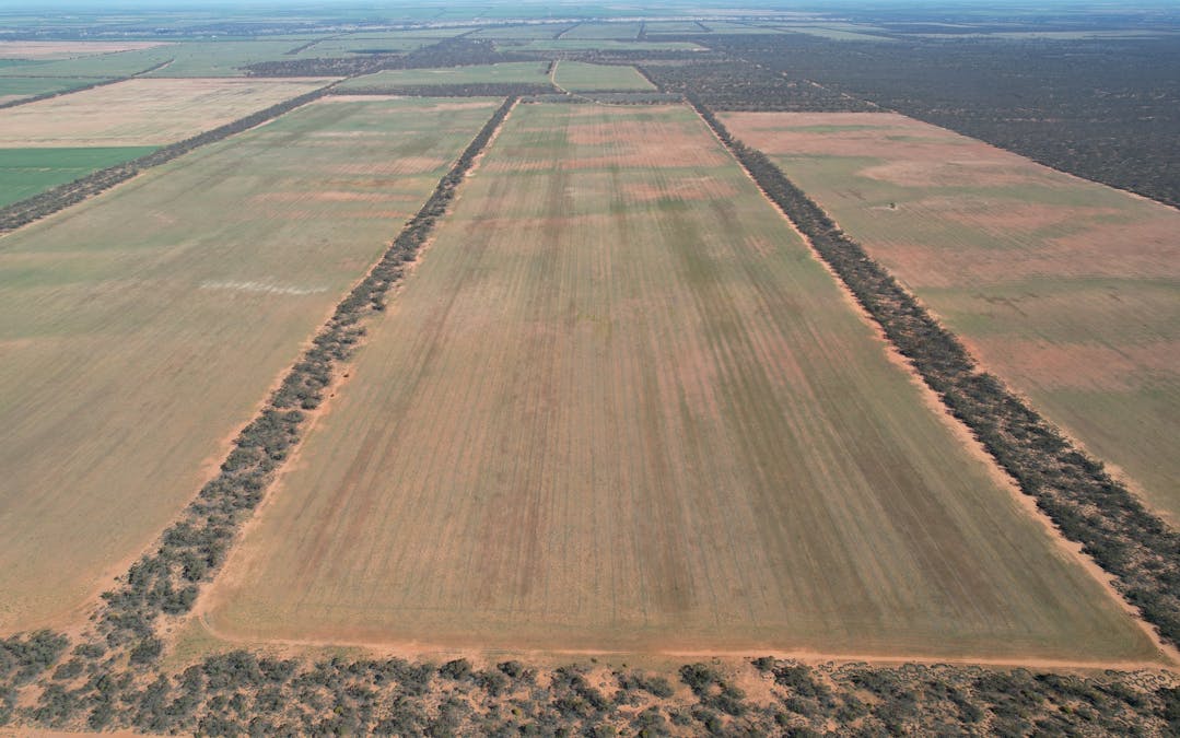 13269  Goyder Highway, Taylorville, SA, 5330 - Image 2