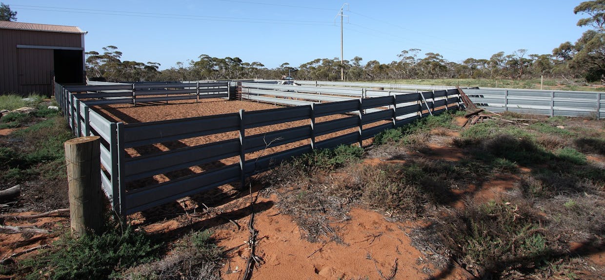 13269  Goyder Highway, Taylorville, SA, 5330 - Image 15