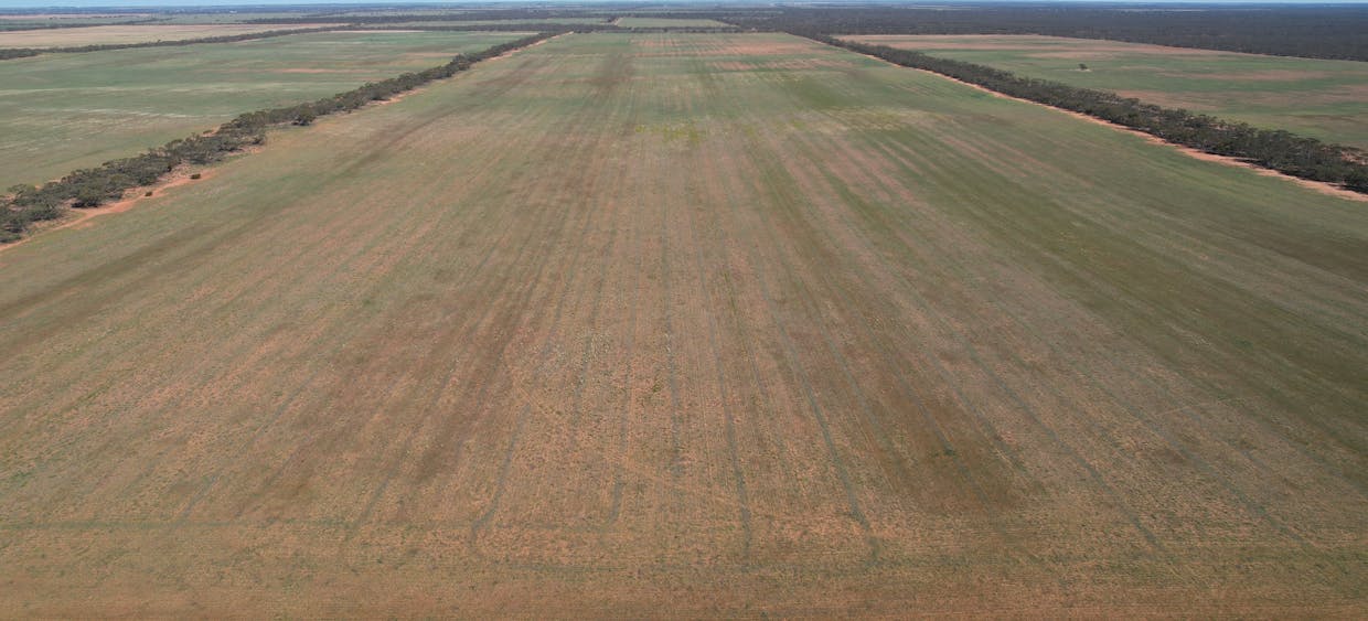 13269  Goyder Highway, Taylorville, SA, 5330 - Image 21