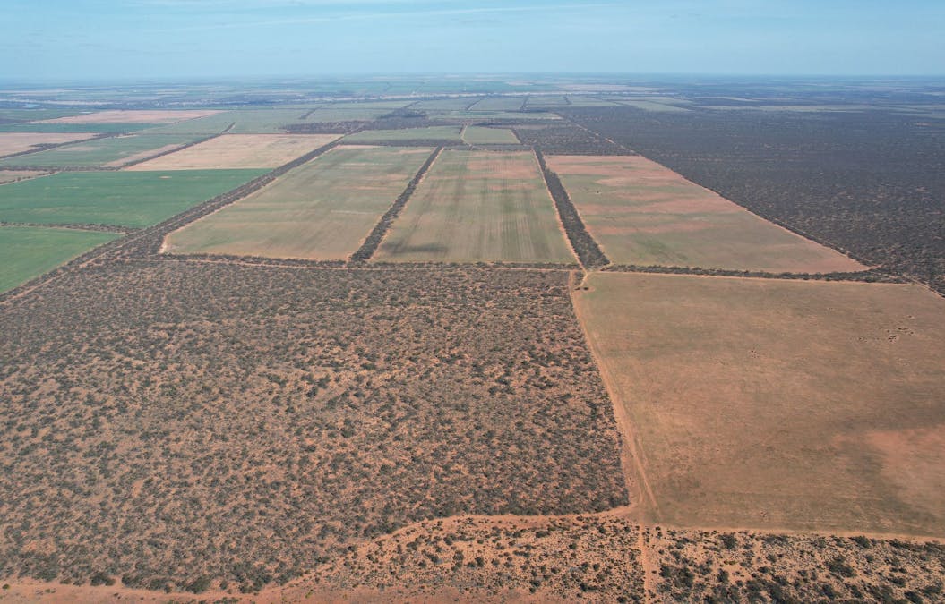 13269  Goyder Highway, Taylorville, SA, 5330 - Image 22