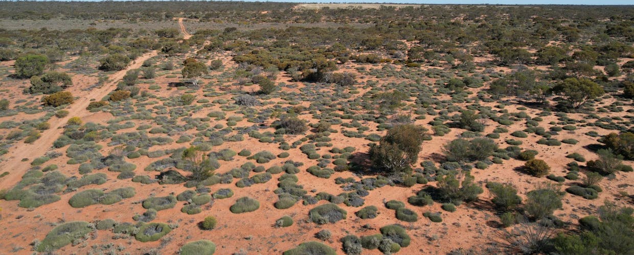 13269  Goyder Highway, Taylorville, SA, 5330 - Image 28