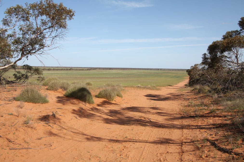 13269  Goyder Highway, Taylorville, SA, 5330 - Image 30