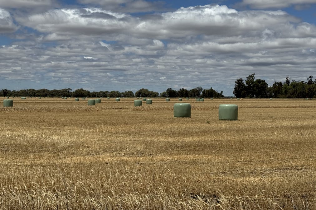 819 Mayrung Road , Deniliquin, NSW, 2710 - Image 7