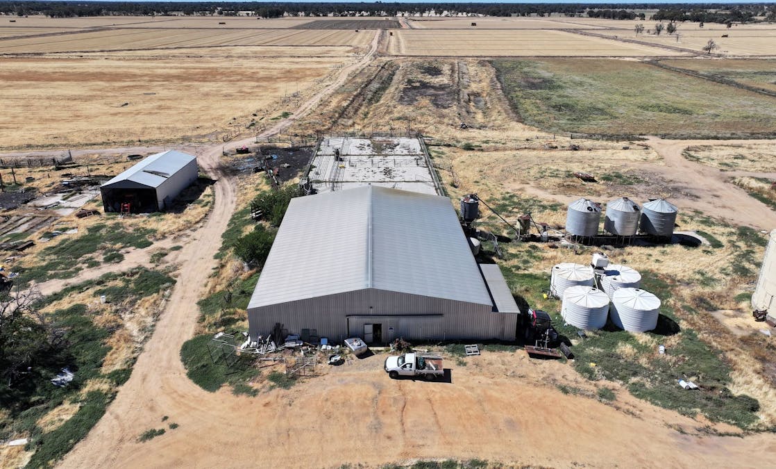 819 Mayrung Road , Deniliquin, NSW, 2710 - Image 5