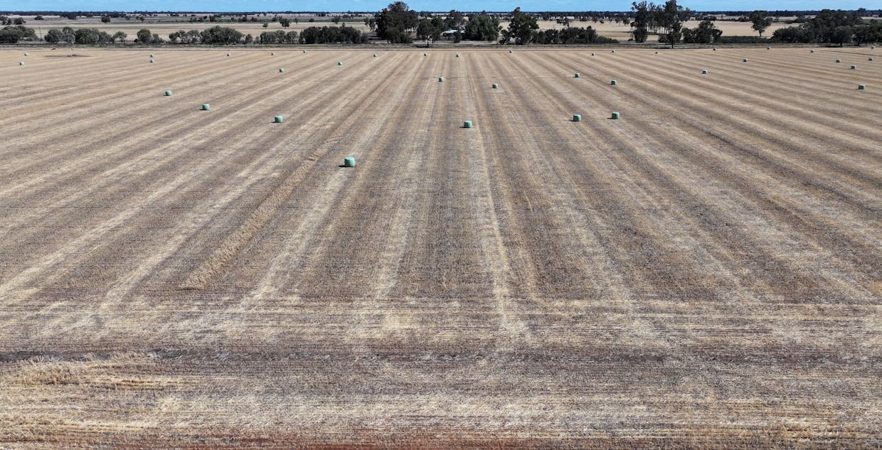 819 Mayrung Road , Deniliquin, NSW, 2710 - Image 11