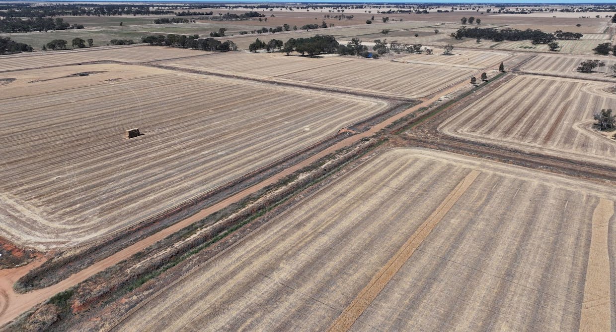 819 Mayrung Road , Deniliquin, NSW, 2710 - Image 2