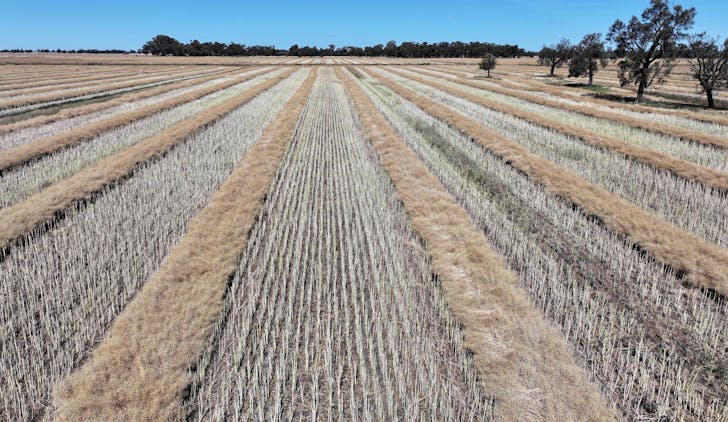 819 Mayrung Road , Deniliquin, NSW, 2710 - Image 1