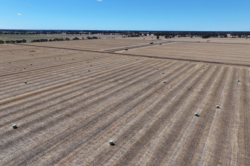 819 Mayrung Road , Deniliquin, NSW, 2710 - Image 16