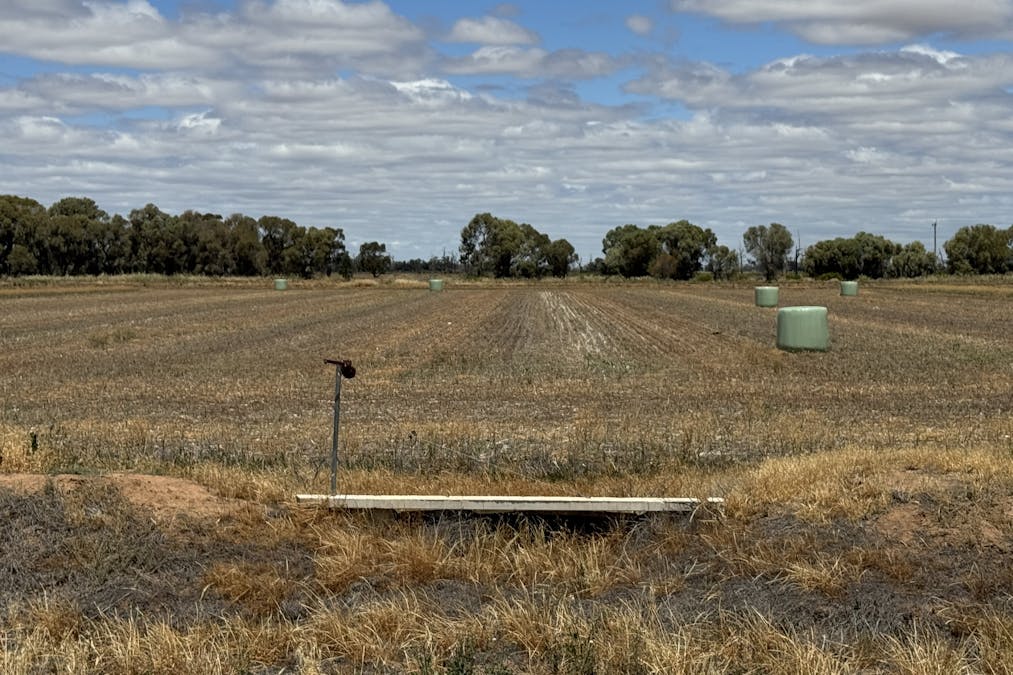 819 Mayrung Road , Deniliquin, NSW, 2710 - Image 24