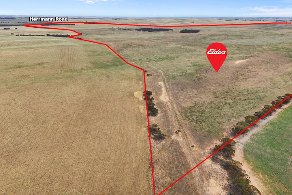 Lot 12 Lord Road, Perponda, SA, 5308 - Image 1