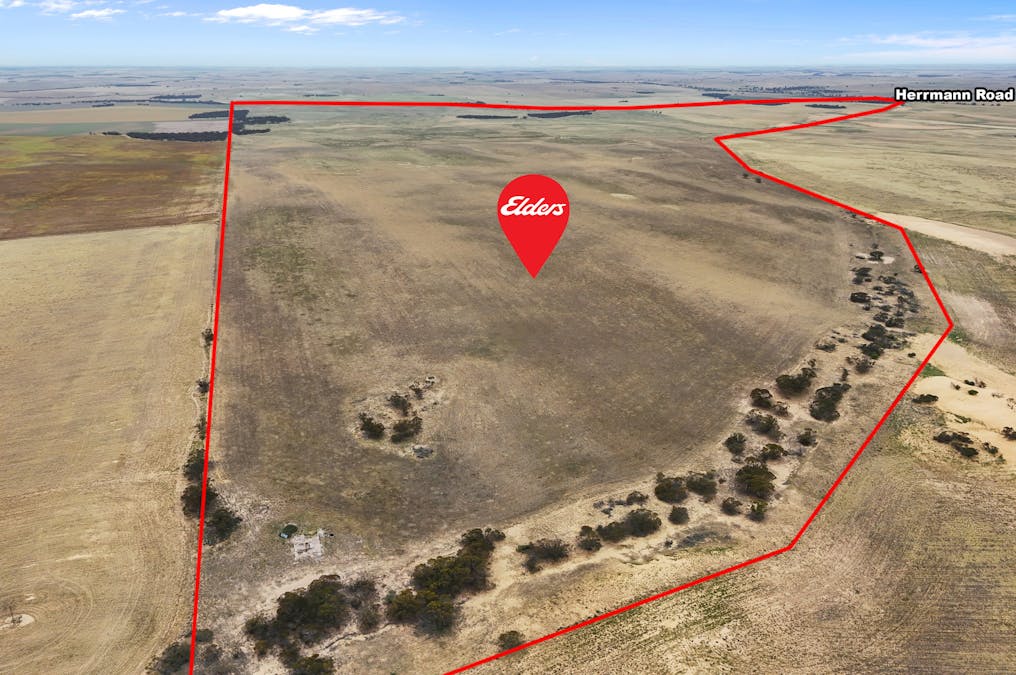Lot 12 Lord Road, Perponda, SA, 5308 - Image 2
