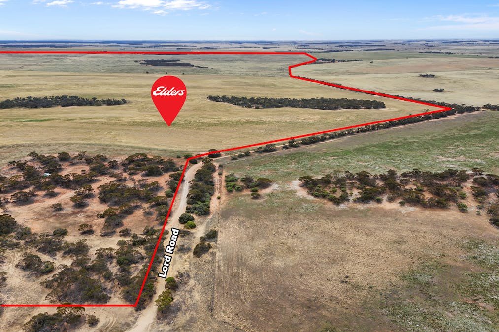 Lot 12 Lord Road, Perponda, SA, 5308 - Image 3