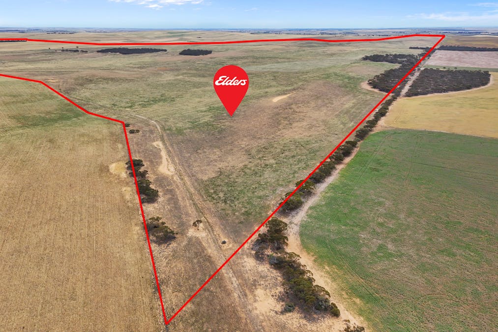 Lot 12 Lord Road, Perponda, SA, 5308 - Image 4
