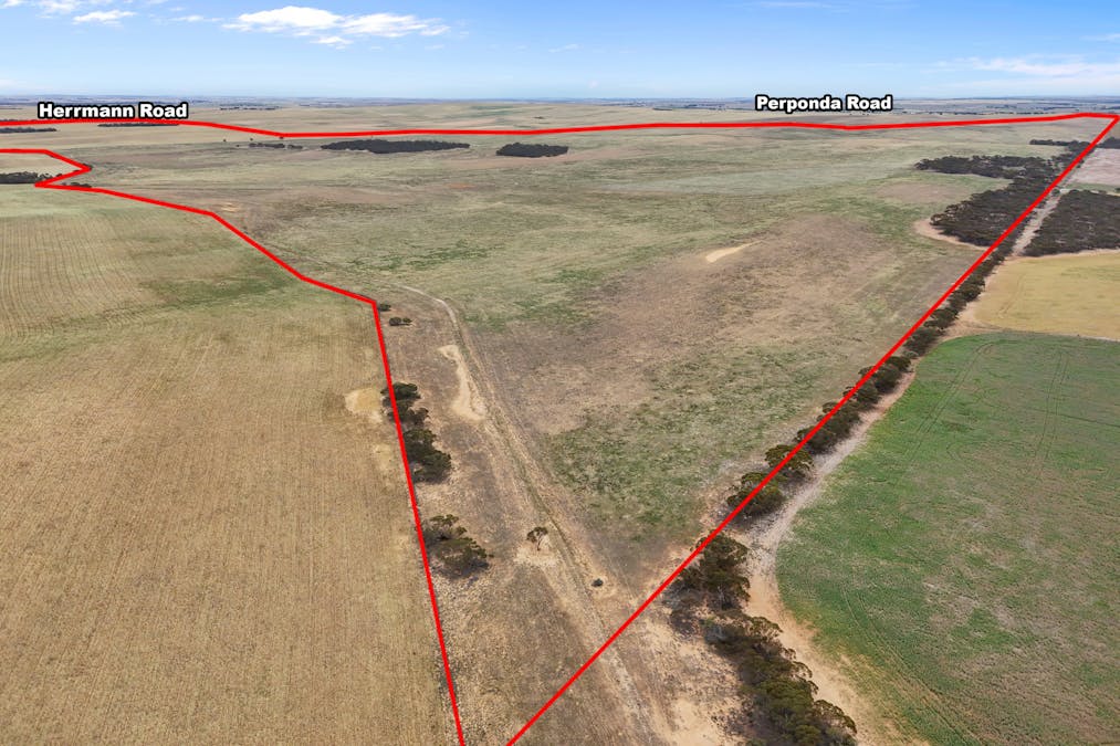 Lot 12 Lord Road, Perponda, SA, 5308 - Image 5