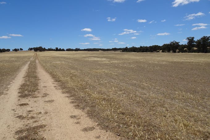 Watson Road, Wagin, WA, 6315 - Image 1