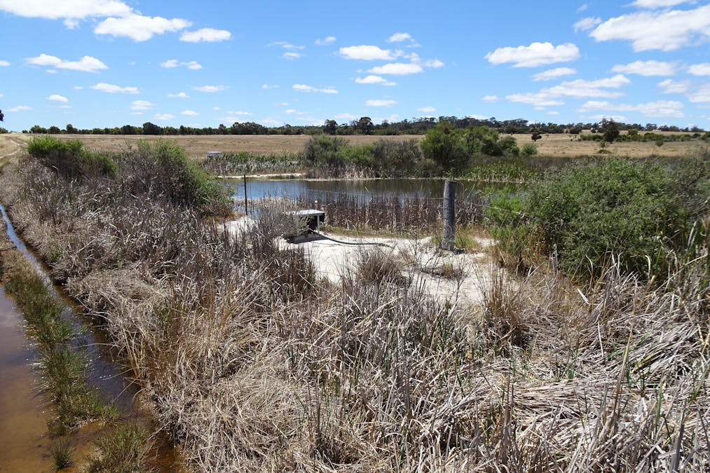 Watson Road, Wagin, WA, 6315 - Image 12