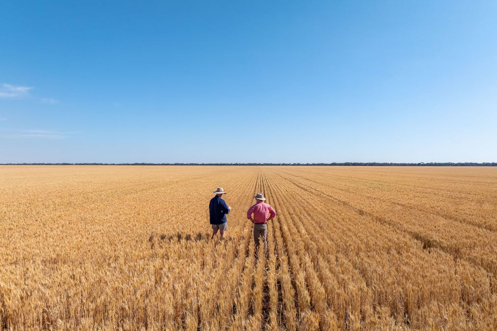 278 Daenke Road, Jerilderie, NSW, 2716 - Image 21