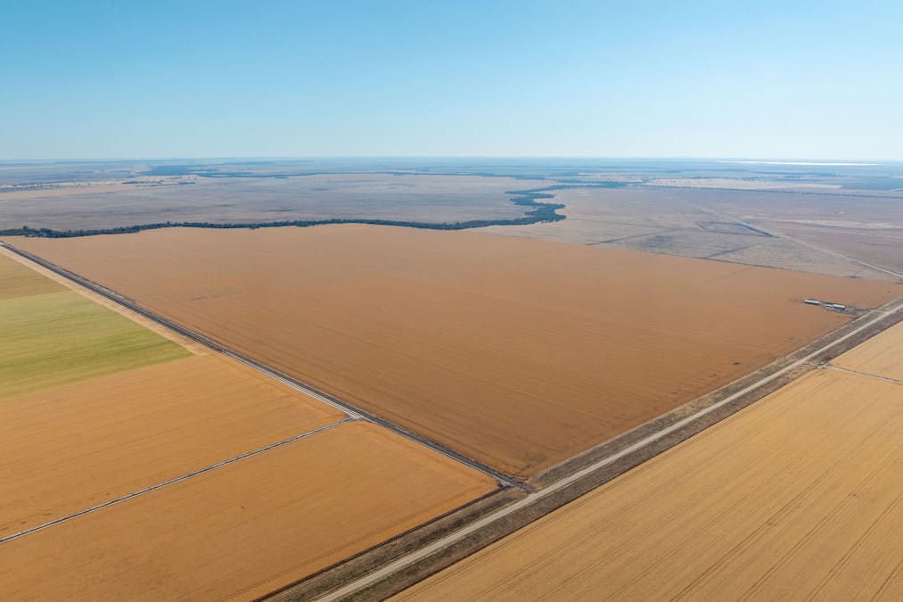 278 Daenke Road, Jerilderie, NSW, 2716 - Image 4