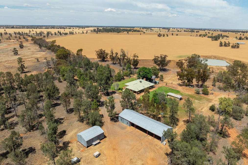 278 Daenke Road, Jerilderie, NSW, 2716 - Image 16