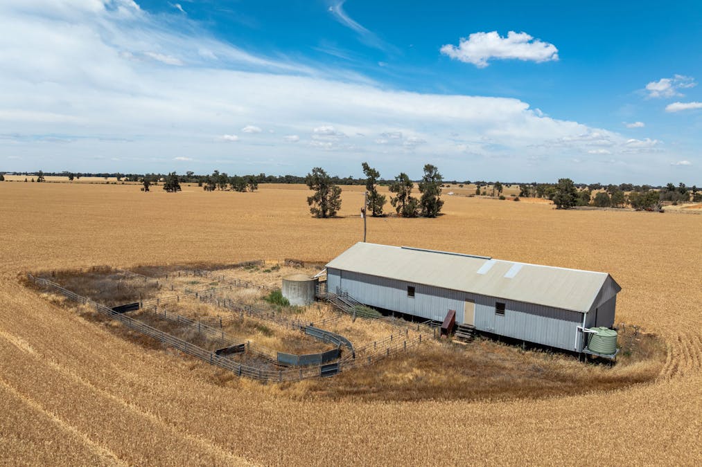 278 Daenke Road, Jerilderie, NSW, 2716 - Image 17