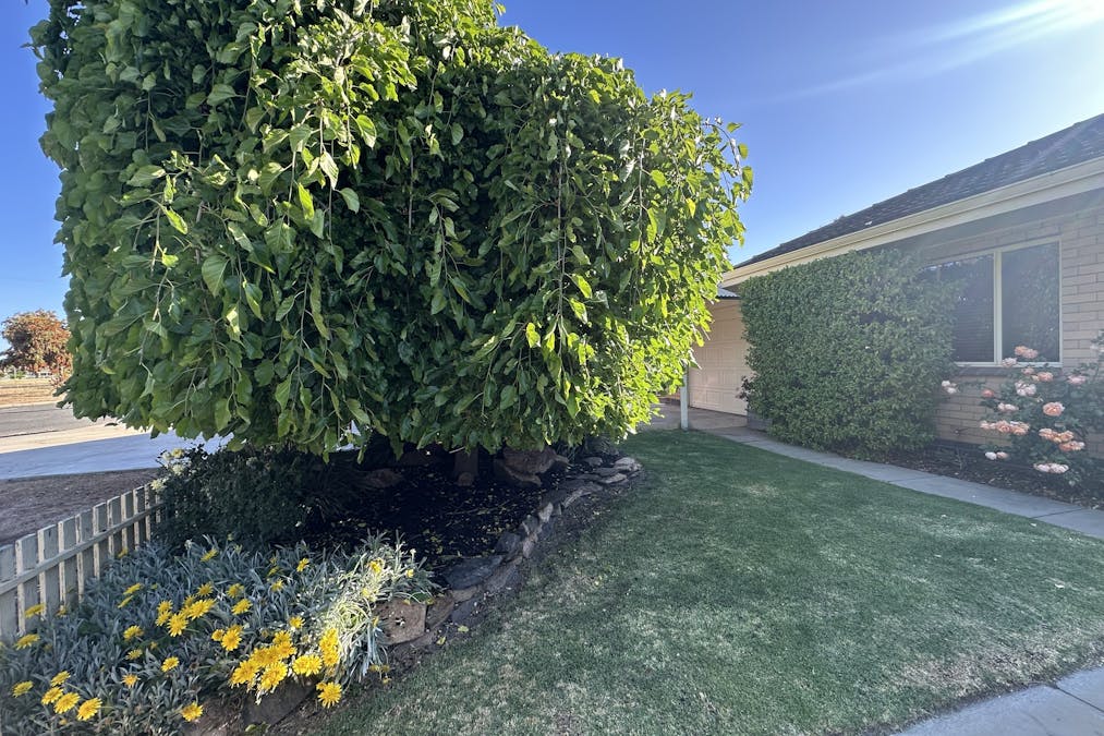 7 Andrews Place, Katanning, WA, 6317 - Image 33