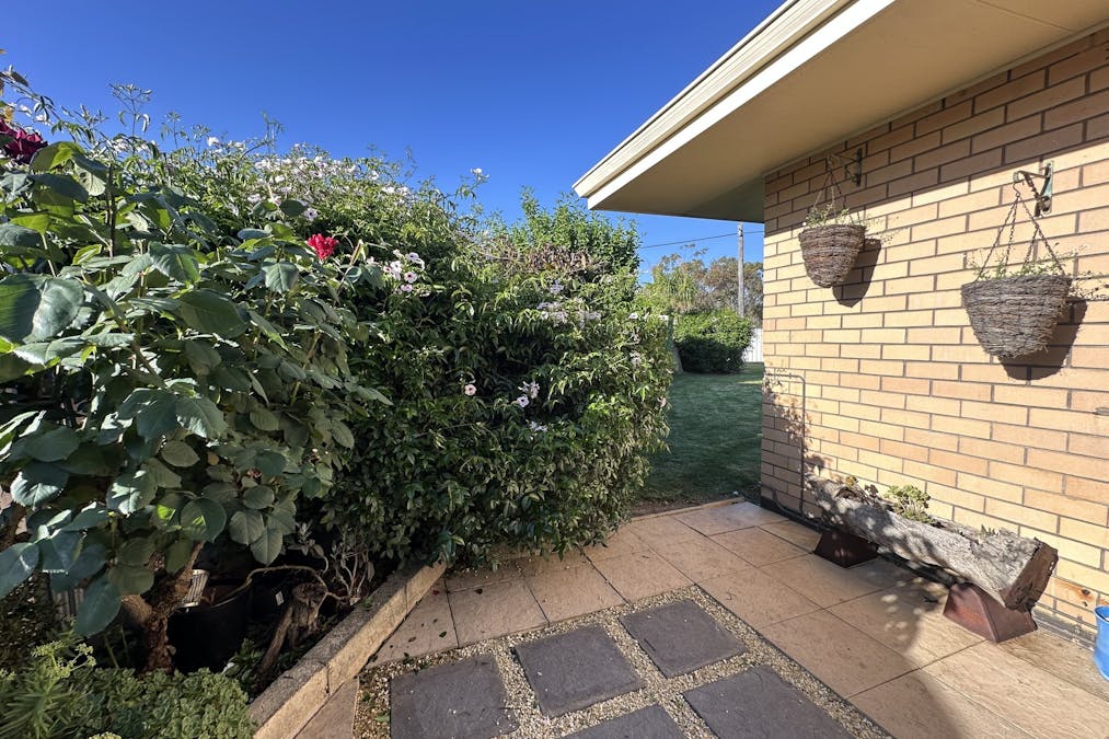 7 Andrews Place, Katanning, WA, 6317 - Image 30