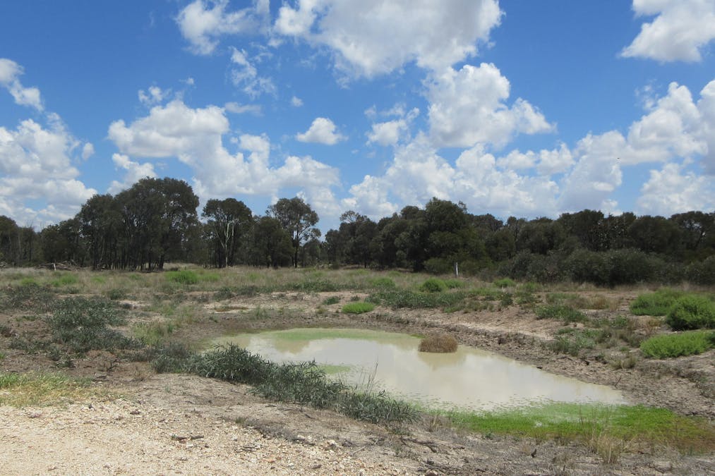 Tara, QLD, 4421 - Image 2