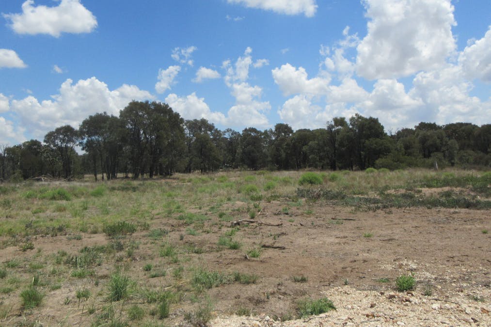 Tara, QLD, 4421 - Image 17