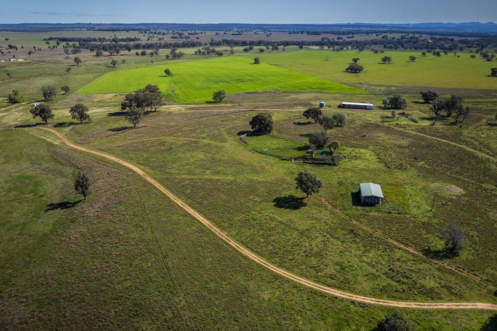 59 Mia Mia Road, Purlewaugh, NSW, 2357 - Image 7